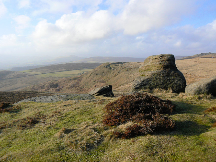Callow Bank Callow Bank
